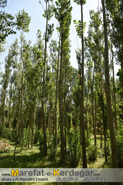 طبیعت ایجرود طبیعت ایجرود