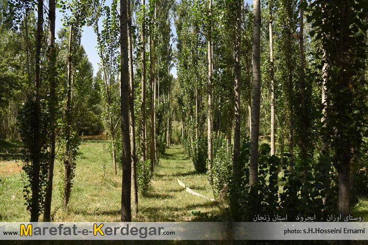 جاهای دیدنی شهرستان ایجرود جاهای دیدنی شهرستان ایجرود