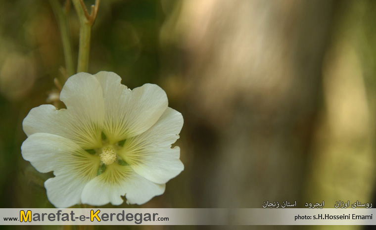 جاهای دیدنی ایجرود جاهای دیدنی ایجرود