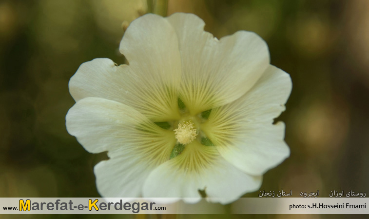 جاهای دیدنی ایجرود جاهای دیدنی ایجرود