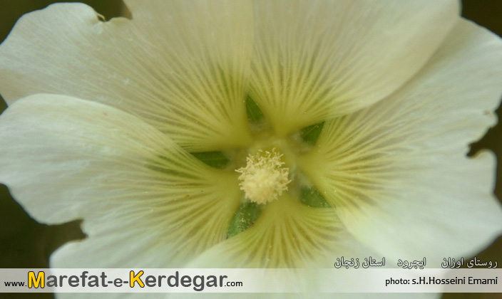 جاهای دیدنی ایجرود جاهای دیدنی ایجرود