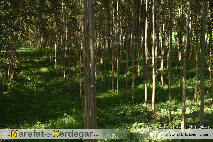 دیدنی های ایجرود دیدنی های ایجرود