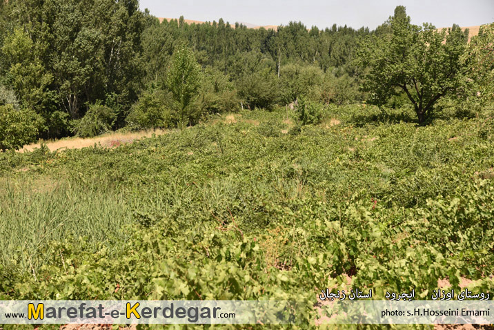 جاذبه های طبیعی ایجرود جاذبه های طبیعی ایجرود