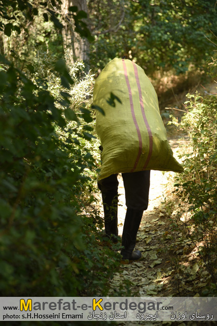 جاذبه های گردشگری شهرستان ایجرود جاذبه های گردشگری شهرستان ایجرود