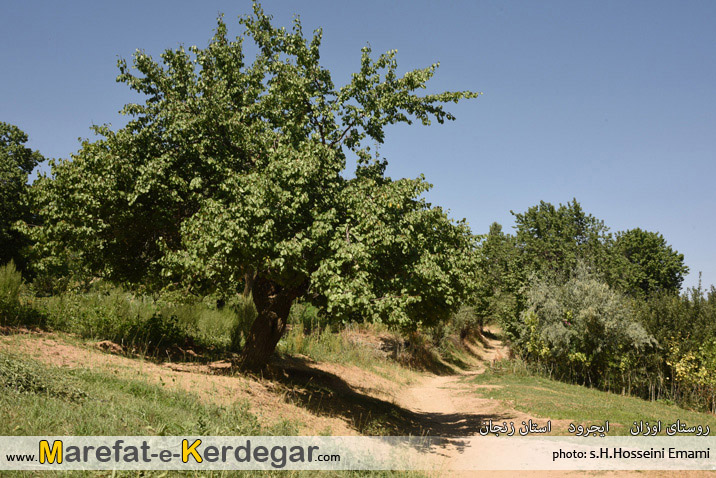 گردشگری ایجرود گردشگری ایجرود