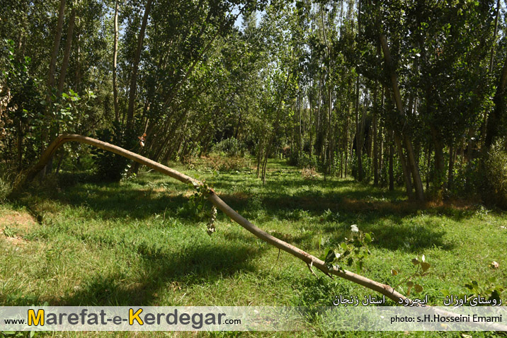روستاهای شهرستان ایجرود روستاهای شهرستان ایجرود