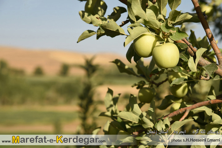 محصولات ایجرود محصولات ایجرود