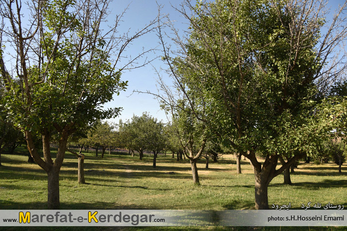 روستای تله گرد روستای تله گرد