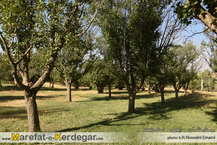 دیدنی های ایجرود دیدنی های ایجرود