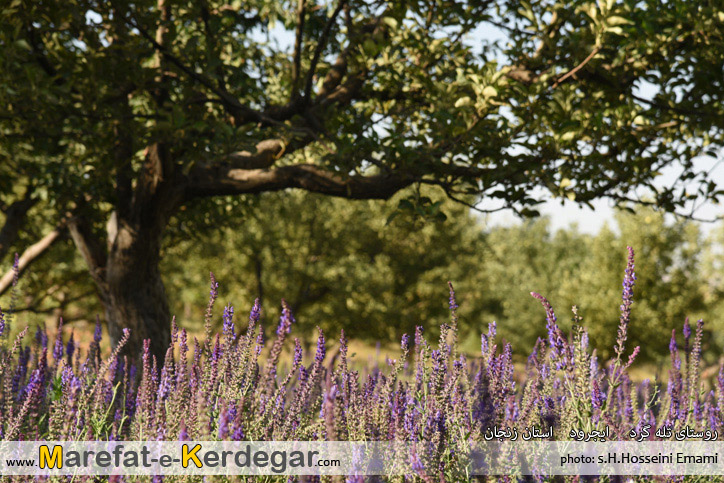 دیدنی های استان زنجان دیدنی های استان زنجان