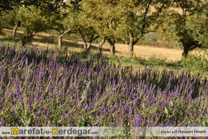 دیدنی های استان زنجان دیدنی های استان زنجان