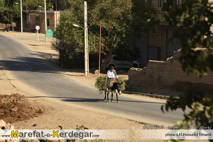 روستای تله گرد روستای تله گرد