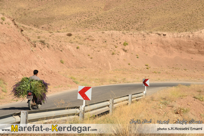 طبیعت شهرستان ایجرود طبیعت شهرستان ایجرود