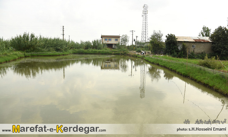 دیدنی های بابل دیدنی های بابل