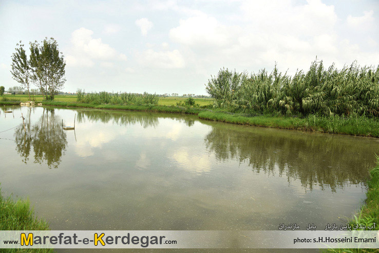 طبیعت بابل طبیعت بابل