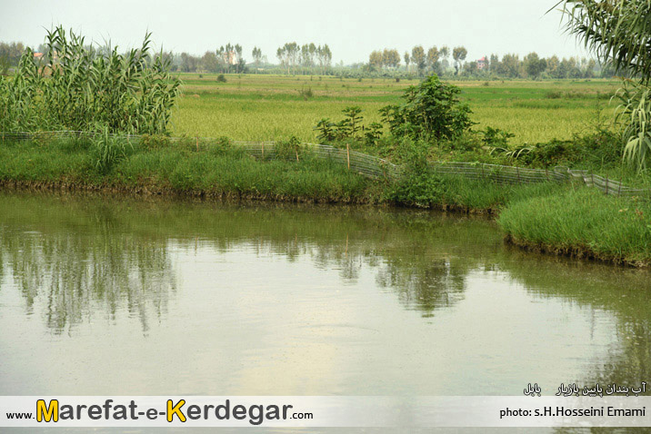 طبیعت بابل طبیعت بابل