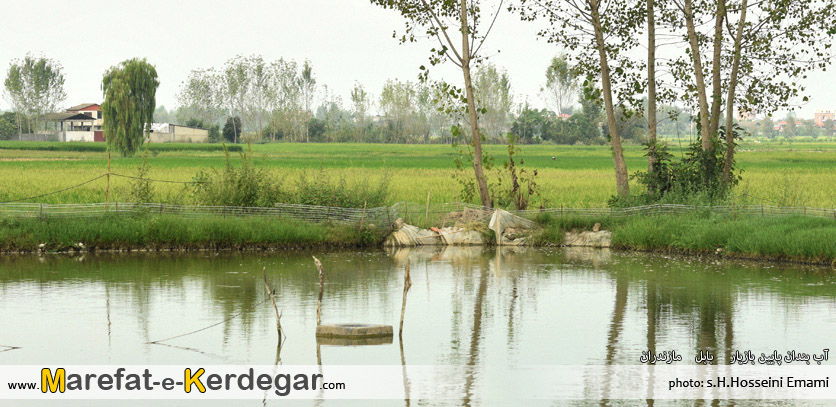 روستای پایین بازیار روستای پایین بازیار