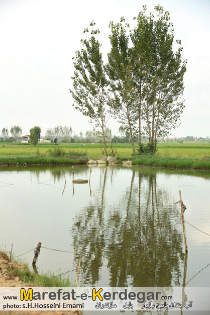 روستای پایین بازیار روستای پایین بازیار