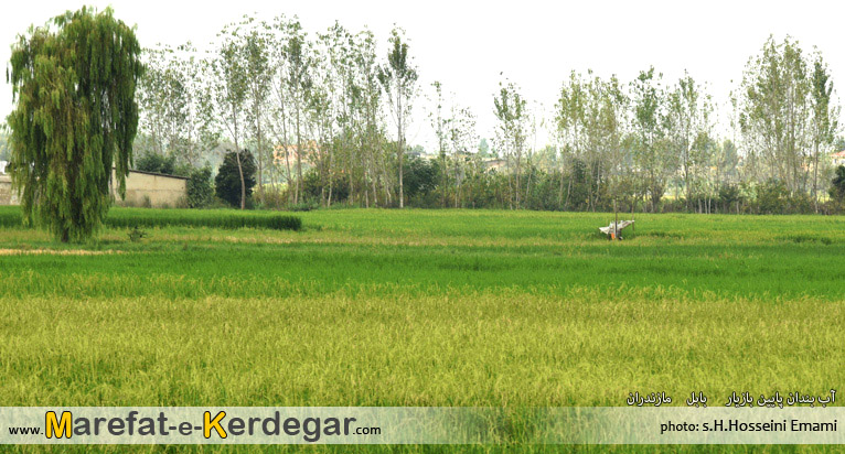 آب بندان های بابل آب بندان های بابل