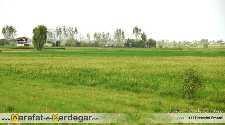 آب بندان های بابل آب بندان های بابل