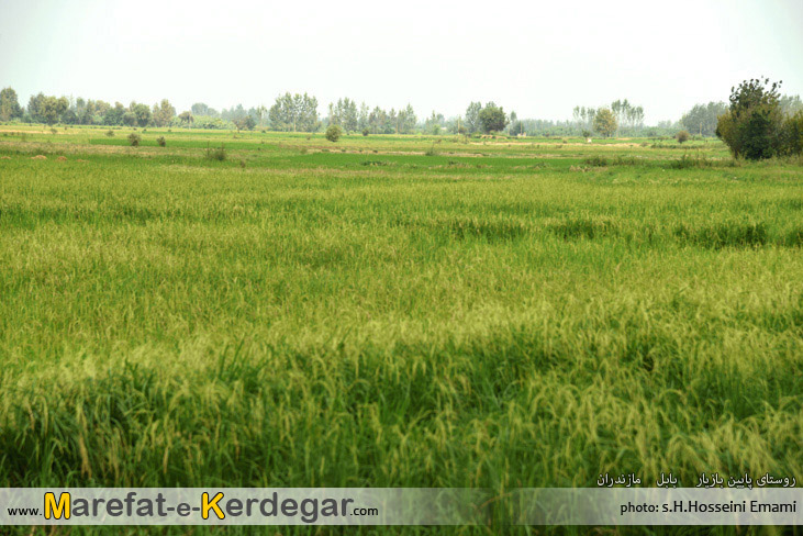 آب بندان های شهرستان بابل آب بندان های شهرستان بابل