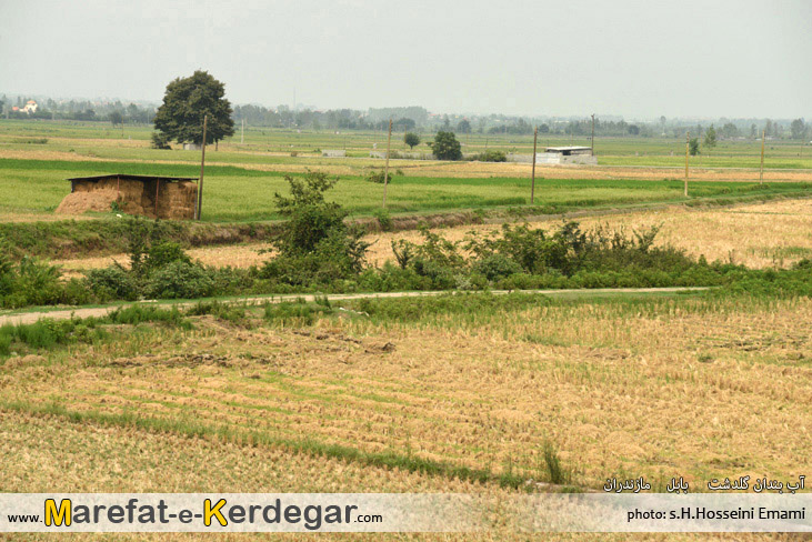 ایستگاه تحقیقات شالیزار گلدشت ایستگاه تحقیقات شالیزار گلدشت