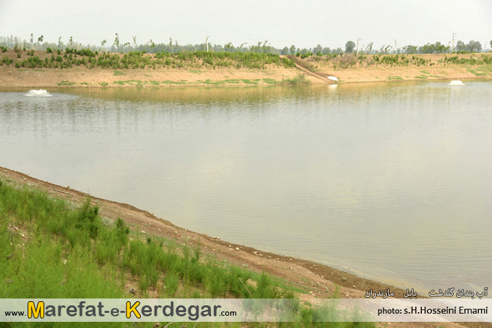 موسسه تحقیقات برنج کشور موسسه تحقیقات برنج کشور