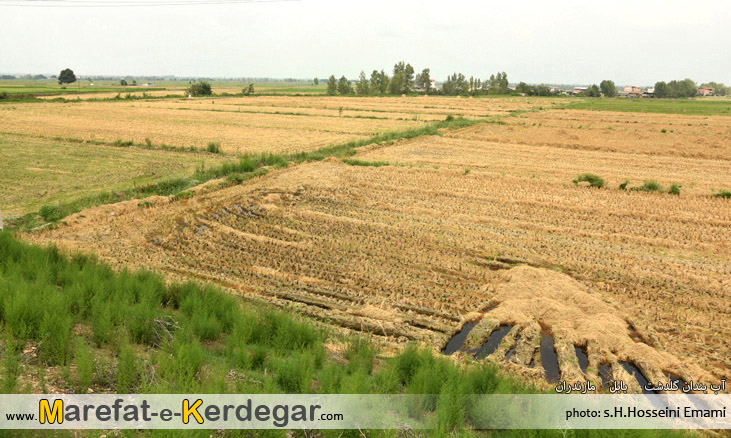 آب بندان های شهرستان بابل آب بندان های شهرستان بابل