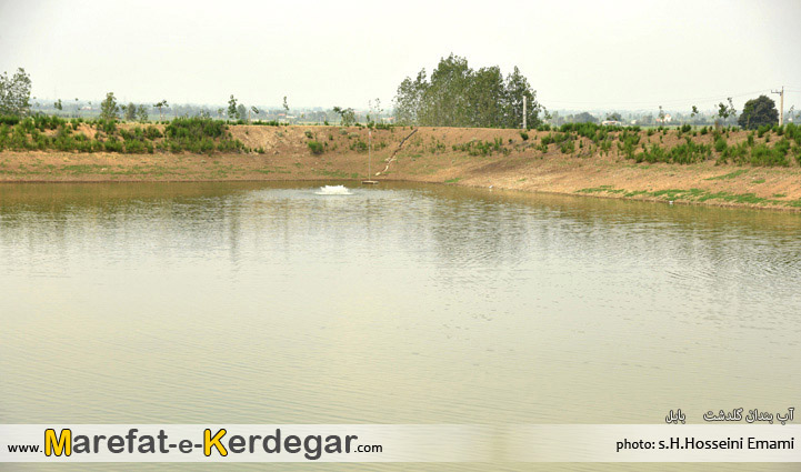 سازمان تحقیقات آموزش و ترویج کشاورزی سازمان تحقیقات آموزش و ترویج کشاورزی