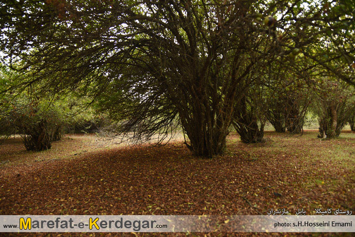 طبیعت بابل طبیعت بابل