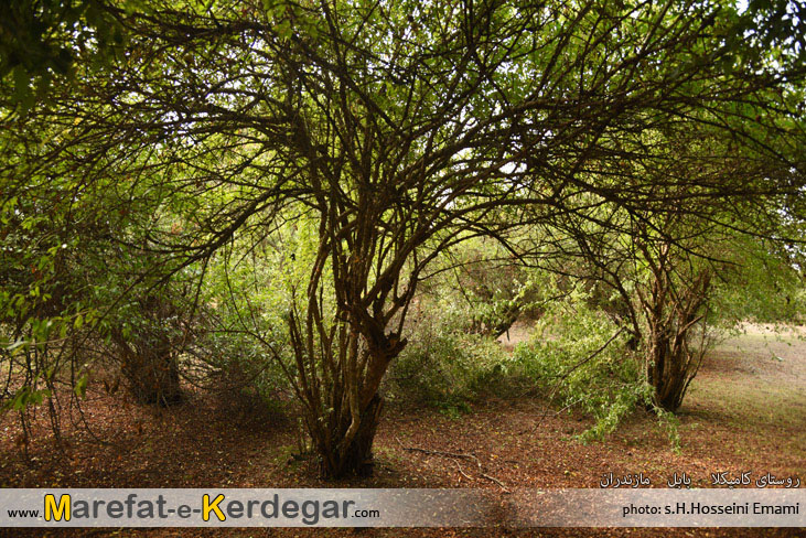 طبیعت بابل طبیعت بابل