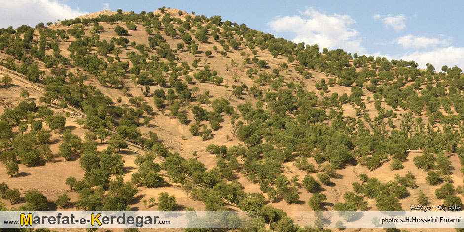 طبیعت بانه طبیعت بانه