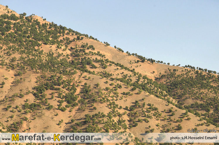 جاده بانه جاده بانه