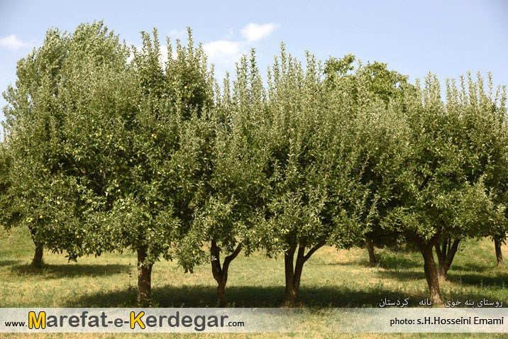 گردشگری بانه گردشگری بانه
