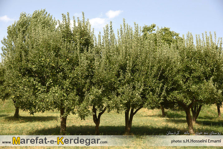 گردشگری بانه