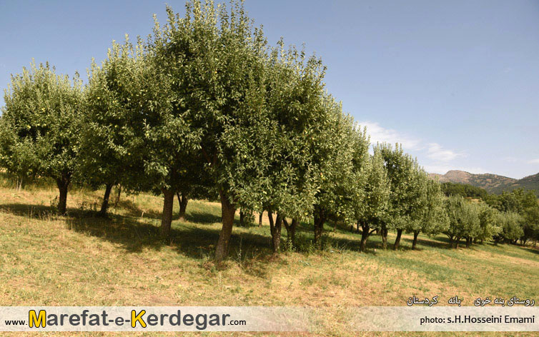 گردشگری بانه گردشگری بانه