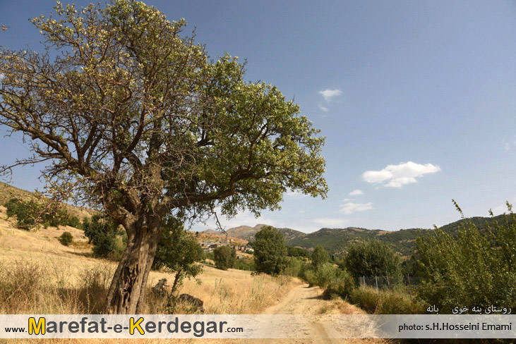 طبیعت بانه طبیعت بانه