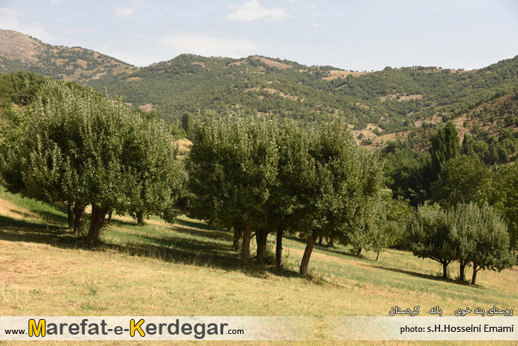 جنگل های بانه جنگل های بانه