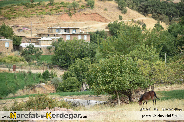 گشت و گذار در کردستان