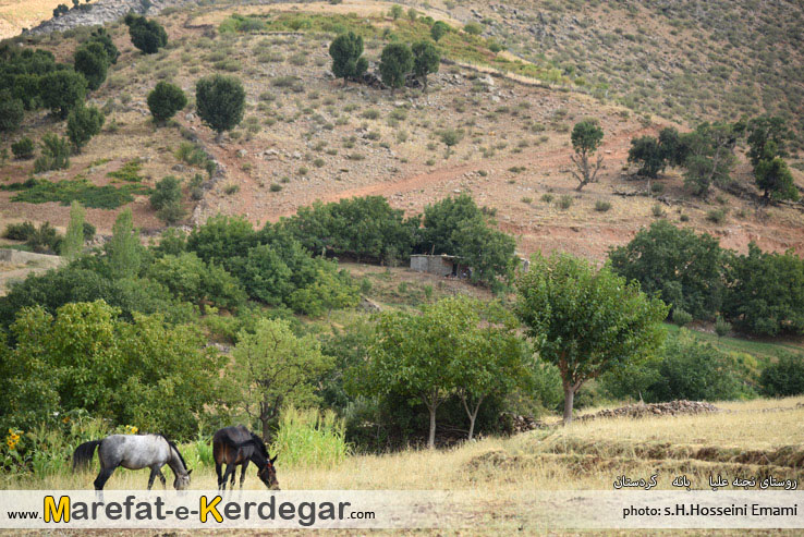 گشت و گذار در استان کردستان گشت و گذار در استان کردستان