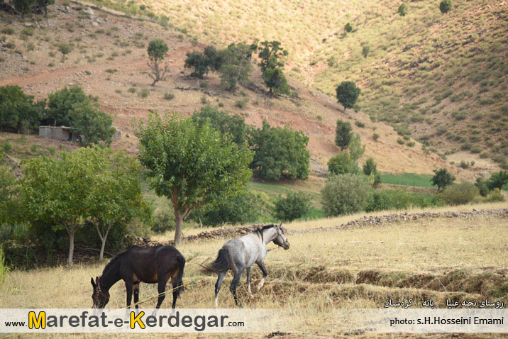 روستا گردی در بانه