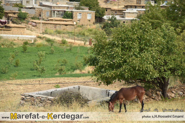 روستا گردی در کردستان