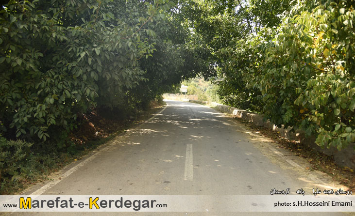 طبیعت بانه طبیعت بانه