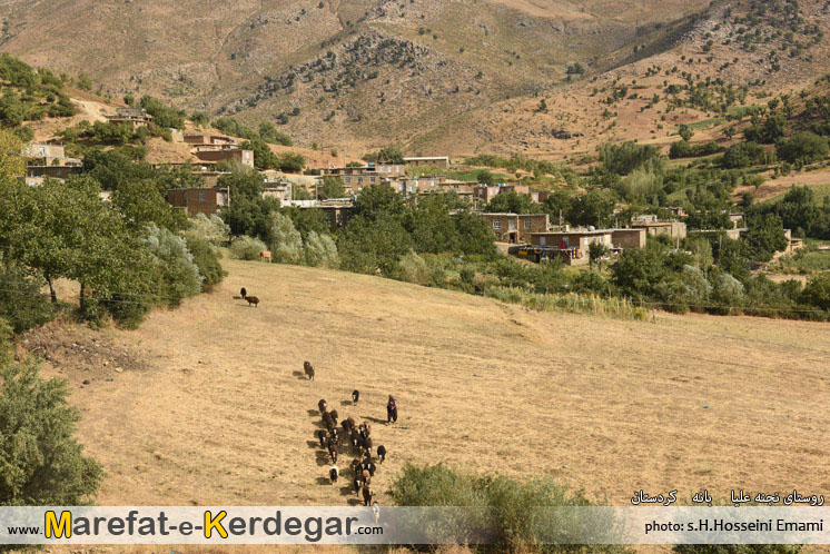 هتل ماسه نجنه هتل ماسه نجنه