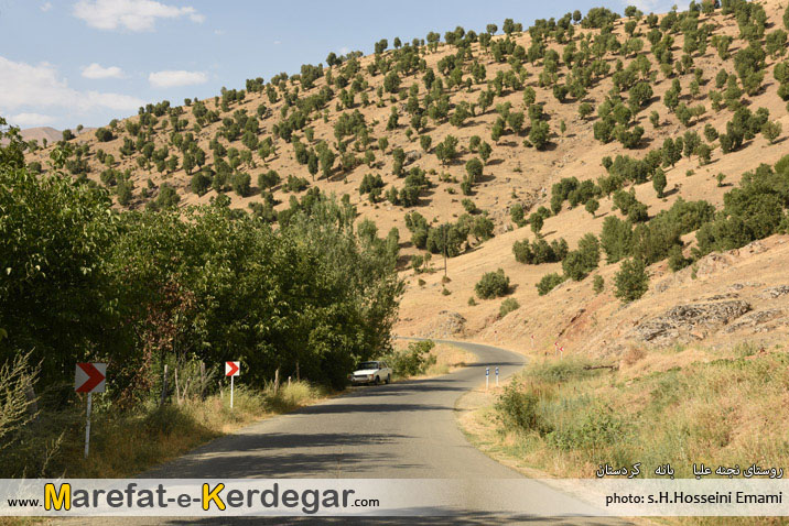 جاده جنگلی جاده جنگلی