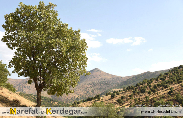 دیدنی های کردستان دیدنی های کردستان