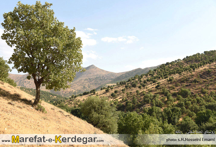 دیدنی های کردستان دیدنی های کردستان