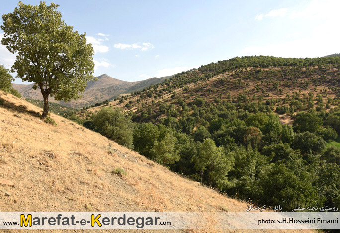 گردشگری استان کردستان گردشگری استان کردستان