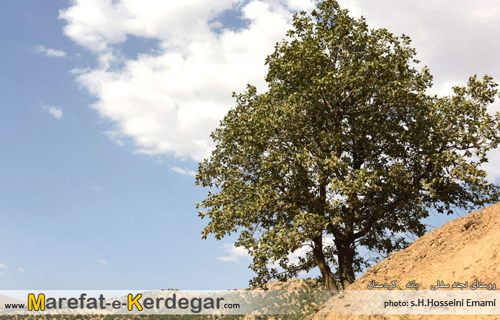 روستاهای استان کردستان روستاهای استان کردستان