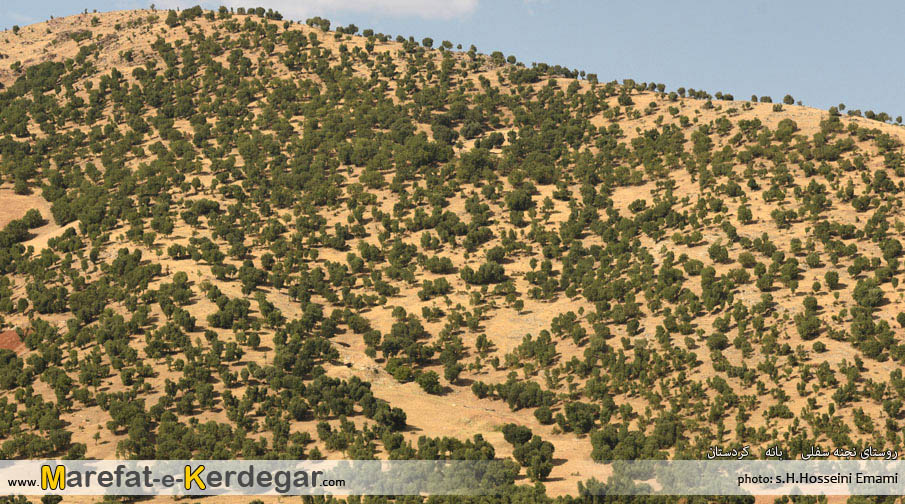 جاهای دیدنی استان کردستان جاهای دیدنی استان کردستان